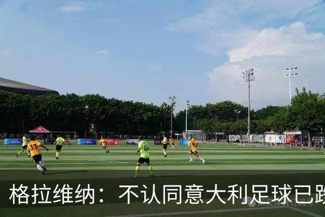 格拉维纳：不认同意大利足球已跌至最低点 对未晋级世界杯失望
